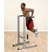 Body-Solid Dip Station (GDIP59)